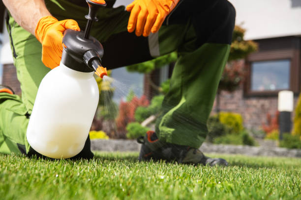 Best Termite Control Services  in Kent City, MI
