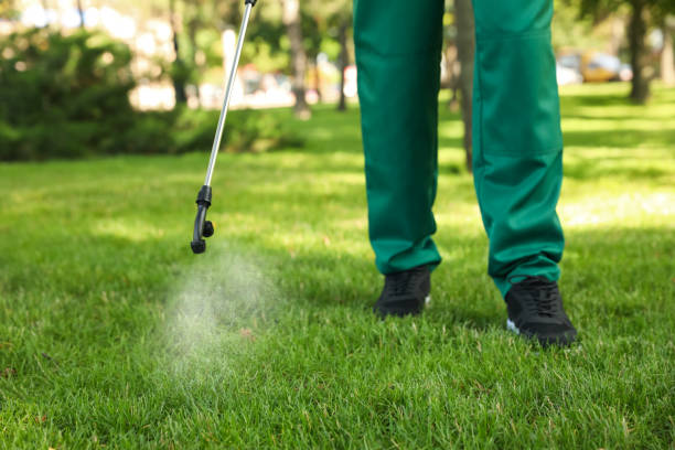 Flea Control Services in Kent City, MI