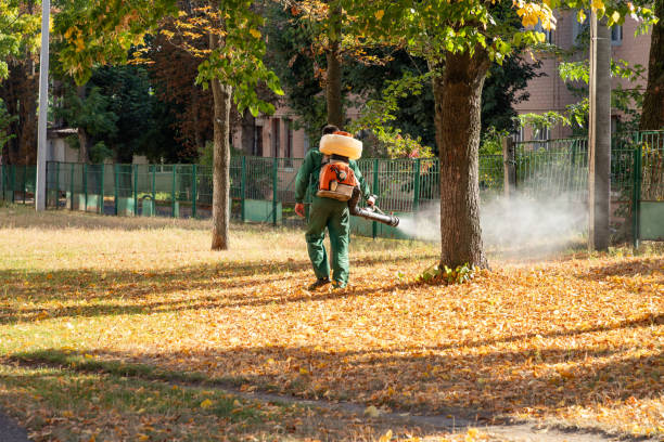 Best Best Pest Control Companies  in Kent City, MI
