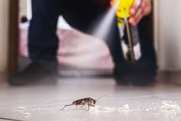 Reliable Kent City, MI Pest Control Solutions