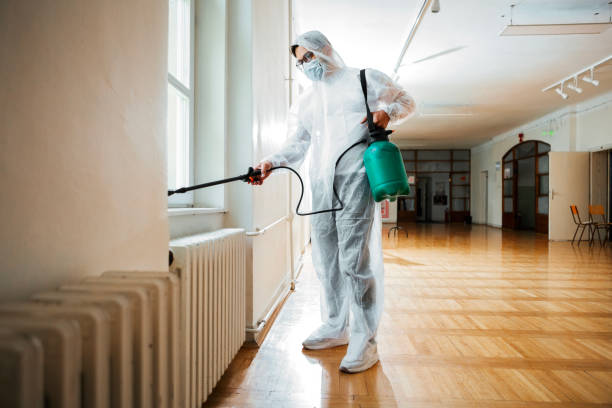 Best Mosquito Control Services  in Kent City, MI