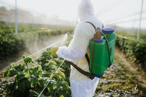 Trusted Kent City, MI Pest Control Experts